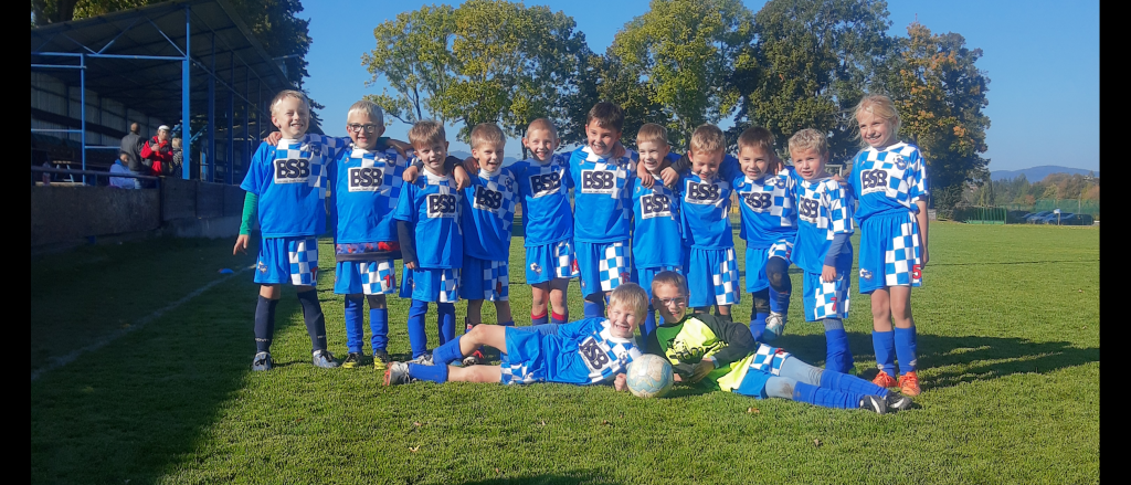 Shrnutí podzimní části - mladší přípravka